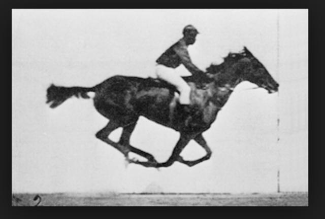 The Bet that Started it All