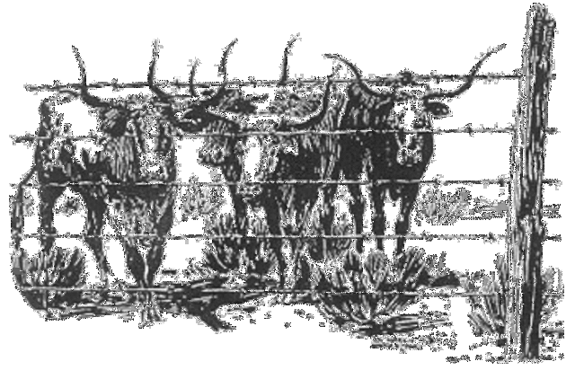 Joseph Glidden - Barbed Wire