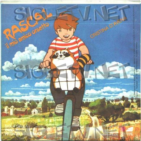 Rascal il mio amico orsetto