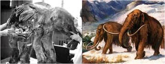 Teoría Multigenista