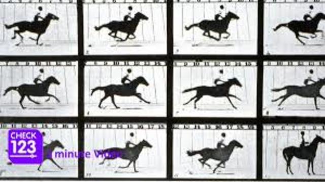 The Bet That Started It All