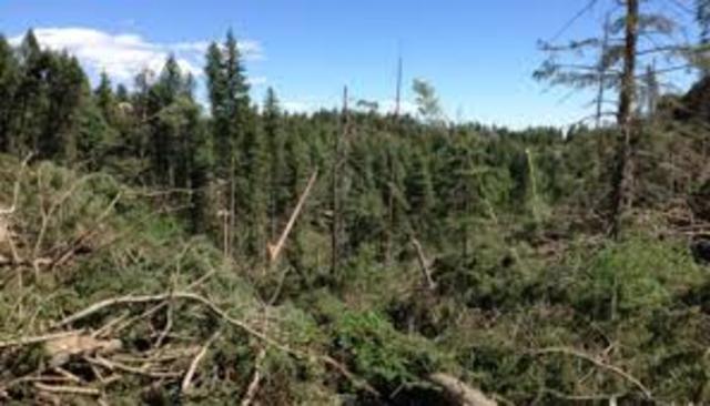 Brian is Hit by a Tornado