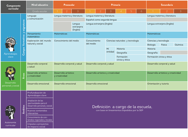Desarrollo de la Carga curricular