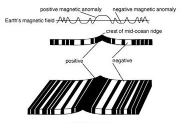 Paper of Magnetic anomalies over oceanic ridges or Vine-Matthews Hypothesis