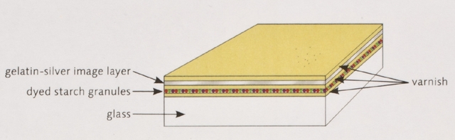 first commercial colour film