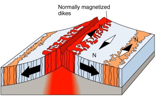Drummond Hoyle Matthews