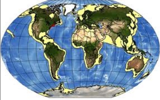 Shoreline Similarity is Noticed