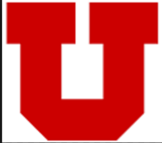 Division of Artificial Organs