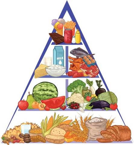 facteurs positis et négatifs