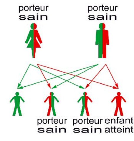 facteurs positifs et négatifs 0 à 10 ans