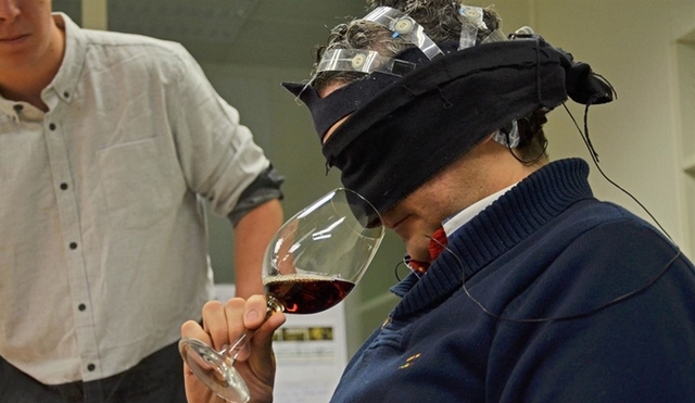 Se da el primer estudio académico de la Neurociencia