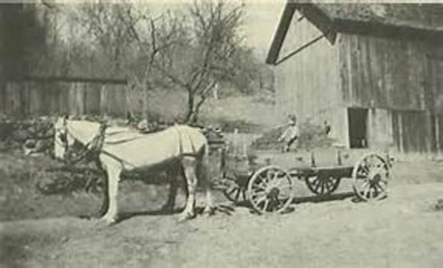 Event 8: Wallace and Vicksburg stores