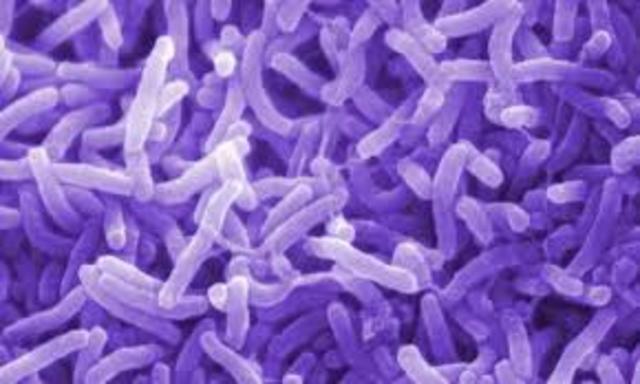 Primer caso de cólera.