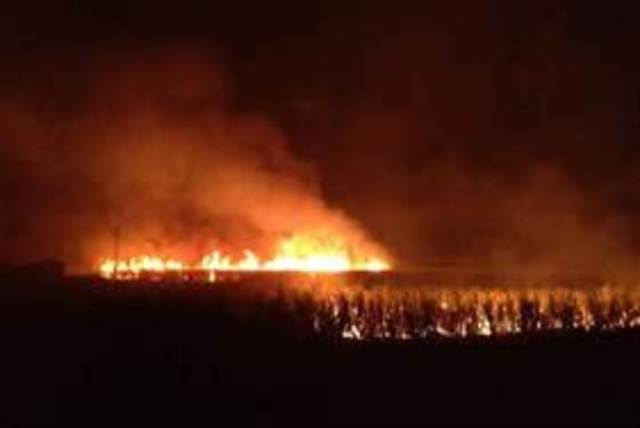 Event 10: The Action