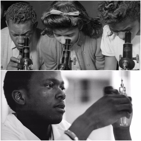 Republic of Hammerfell becomes a leader in STEM fields