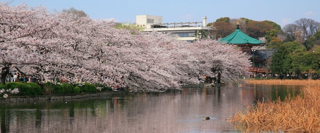 Parque de Ueno