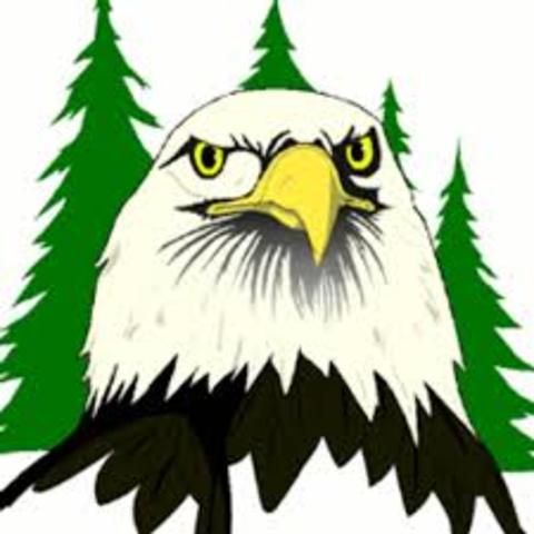 Started  Elementary School