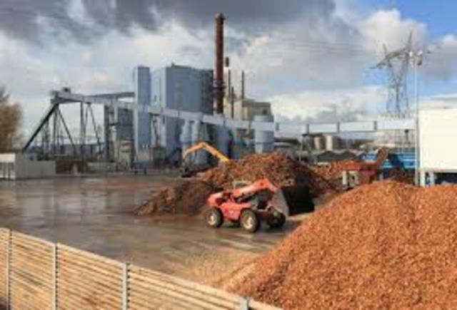 Biomass Power