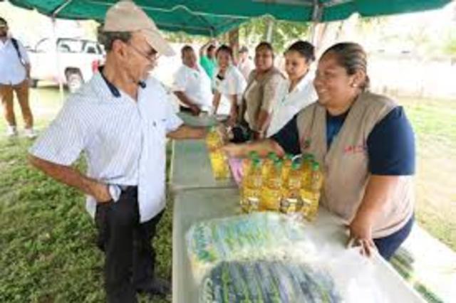 Auge de la función logística