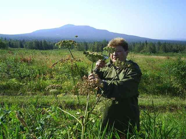 Создание исследовательского стационара