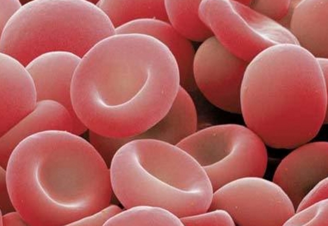 Descubrimiento Grupos Sanguíneos