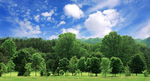 Ley general del desarrollo forestal sustentable.