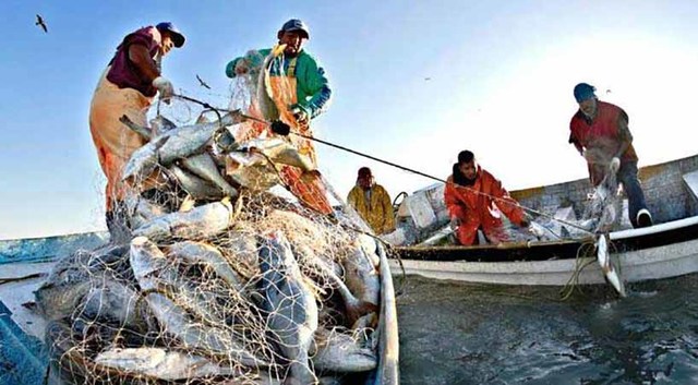 Ley General de Pesca y Acuacultura Sustentables.