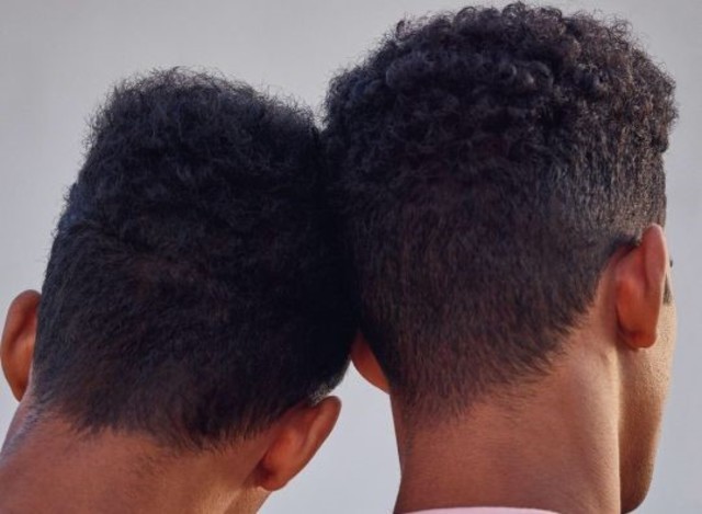 harrison & levi born