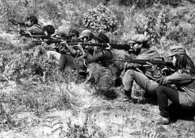 Los movimientos guerrilleros.