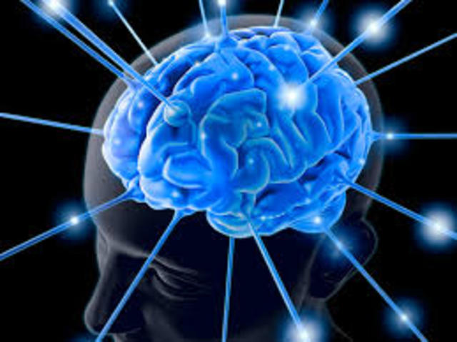 RESONANCIA MAGNÉTICA FUNCIONAL (Técnicas De Neuromarketing)