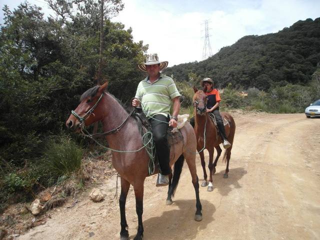 los caballos de mi papa
