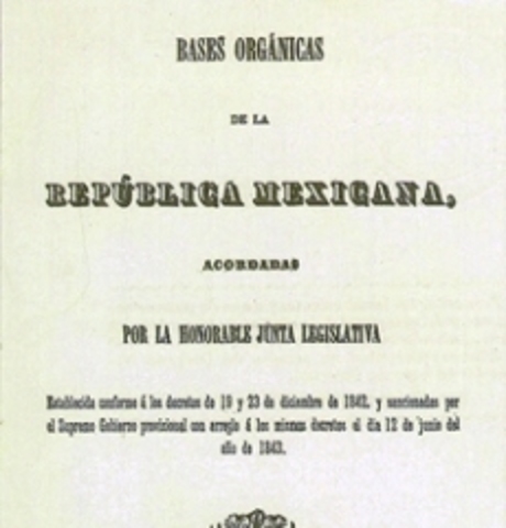 Bases Orgánicas
