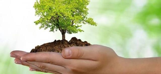 Legislación ambiental