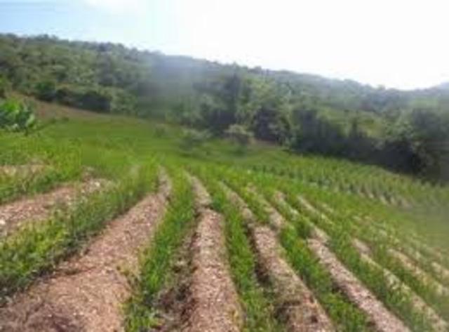 Décimo Tercer Momento