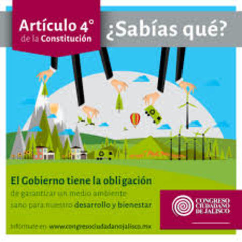 Reforma del Articulo 4°