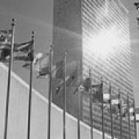 The Slovak Hungarian War