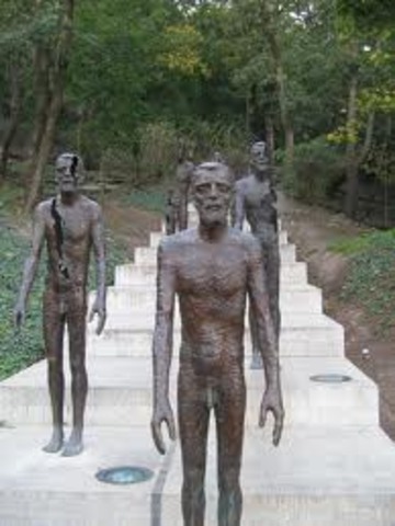 Reparacion de Victimas