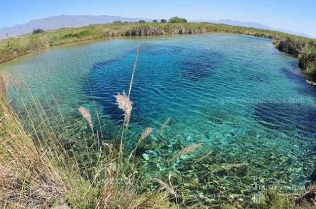 Artículo 49 reformado en el DOF