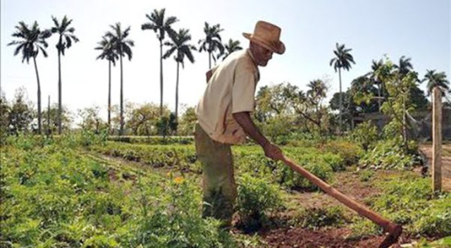Ley de desarrollo rural sustentable
