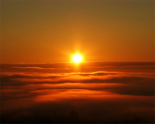 The Million-Year Picnic