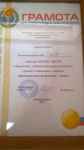 Командное первенсто по волейболу. Диплом Победителя