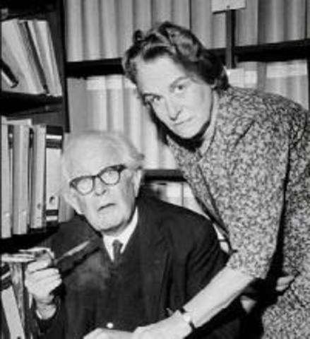 Trabaja sobre nociones operatorias