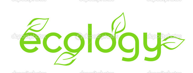Palabra Ecología