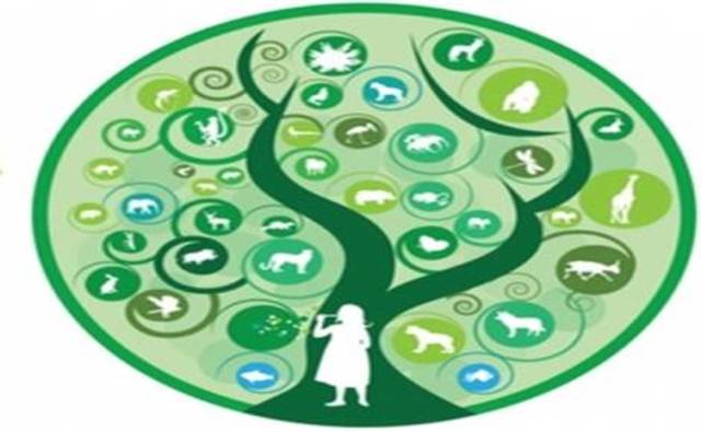 Convenio sobre la Contaminación Atmosférica Transfronteriza a Larga Distancia,Ginebra, Suiza