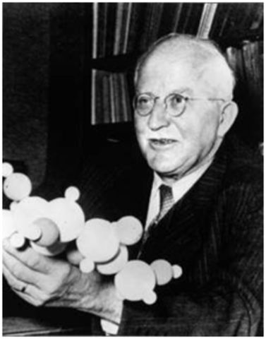 Se funda la química de las macromoléculas