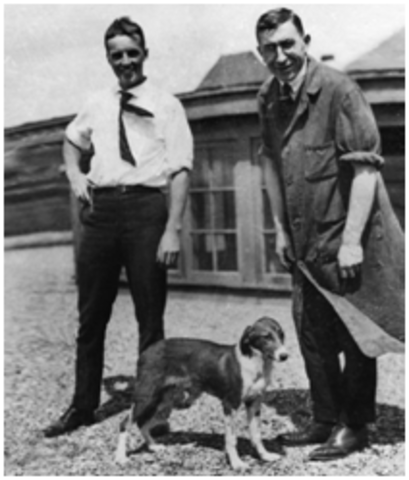 Se descubre la insulina