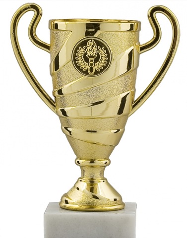 Mi primer 1 trofeo de futbol