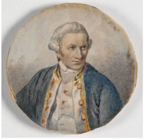 Captain Cook arrival