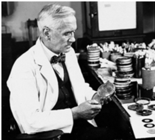 Descubrimiento de la penicilina