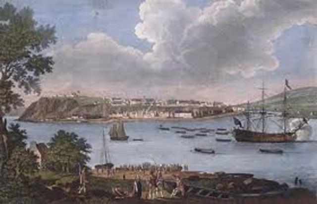 The birds are scared now